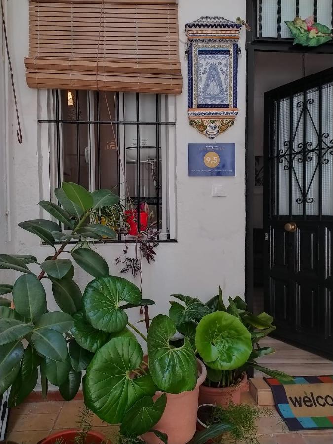 Ideal Tipo Loft En Triana Wifi